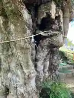 師岡神社の{uncategorized: "未分類", other: "その他", undefined: "問題あり", building: "その他建物", grave: "お墓", sacred_gate: "鳥居", guardian: "狛犬", statue: "像", buddha: "仏像", history: "歴史", nature: "自然", garden: "庭園", animal: "動物", pagoda: "塔", temizu: "手水舎", mountain_gate: "山門・神門", sanctuary: "本殿・本堂", subordinate: "末社・摂社", art: "芸術", scenery: "景色", jizo: "地蔵", ema: "絵馬", goshuin: "御朱印", omikuji: "おみくじ", items: "授与品その他", amulet: "お守り", goshuincho: "御朱印帳", eats: "食事", festival: "お祭り", votive_dance: "神楽", shichigosan: "七五三参", wedding: "結婚式", experience: "体験その他", initially: "初詣", around: "周辺", anti_infection: "感染症対策"}