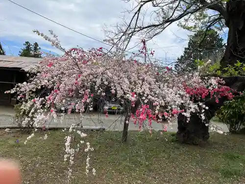 幸燈神社の自然