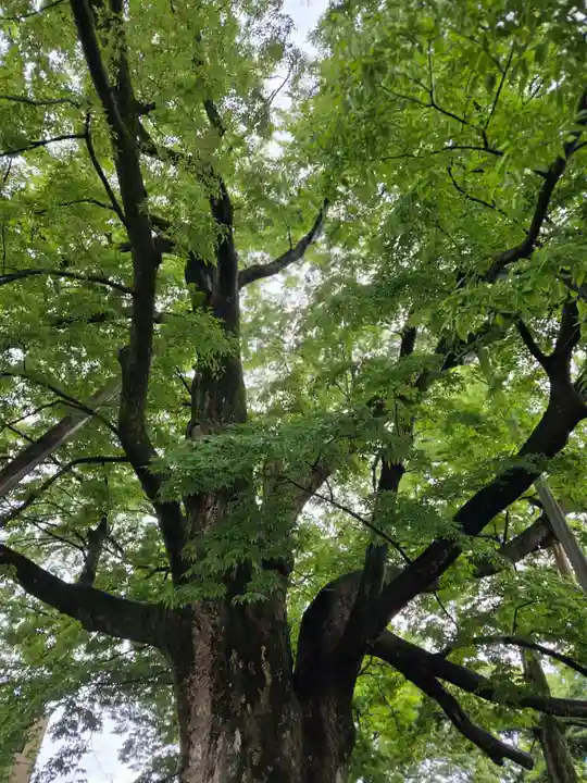 神明宮(石川県)