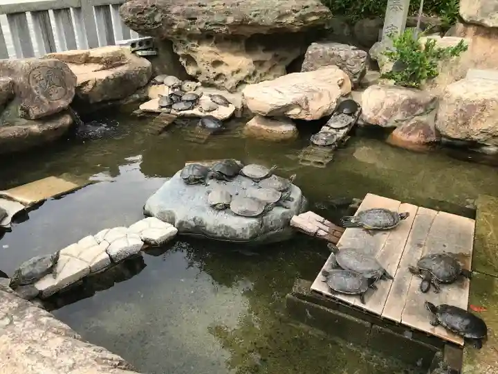 亀山八幡宮(山口県)