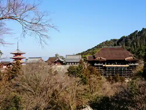 清水寺の景色