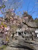 天鷹神社(岐阜県)