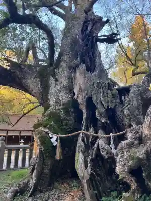 大山祇神社(愛媛県)
