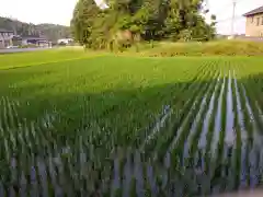 稲荷神社の周辺