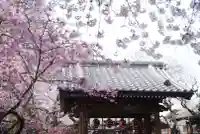 新井薬師(梅照院)の山門・神門