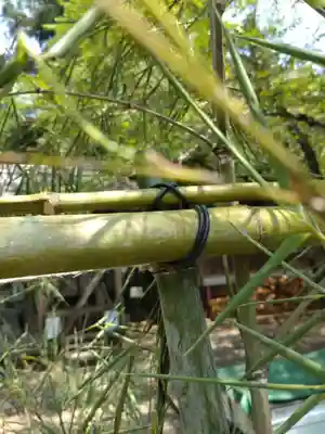 天鷹神社(岐阜県)