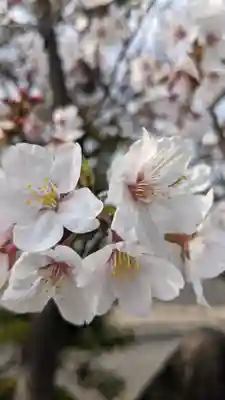 月心寺(愛知県)