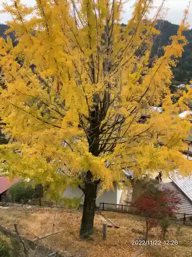 豊国神社 (広島県)