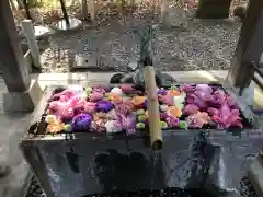 南沢氷川神社(東京都)