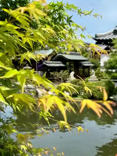 神泉苑(京都府)