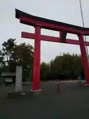 白笹稲荷神社の鳥居