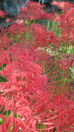 横浜　西方寺(神奈川県)