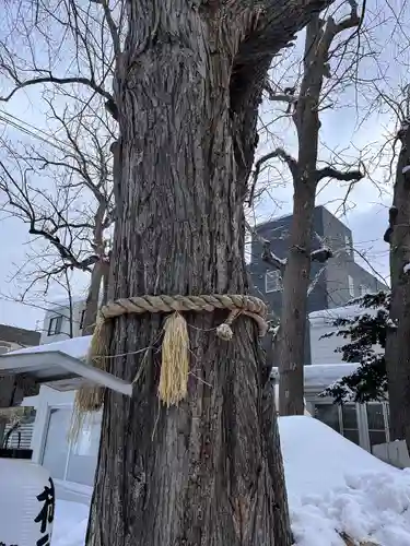 札幌諏訪神社の自然