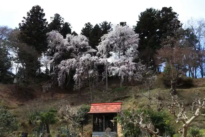 三春大神宮の庭園