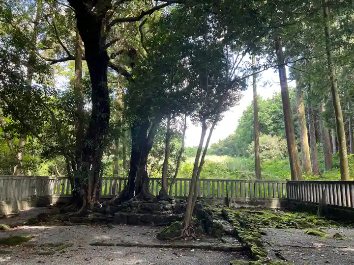 山宮浅間神社(静岡県)
