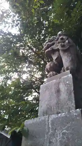 鷲宮神社の狛犬