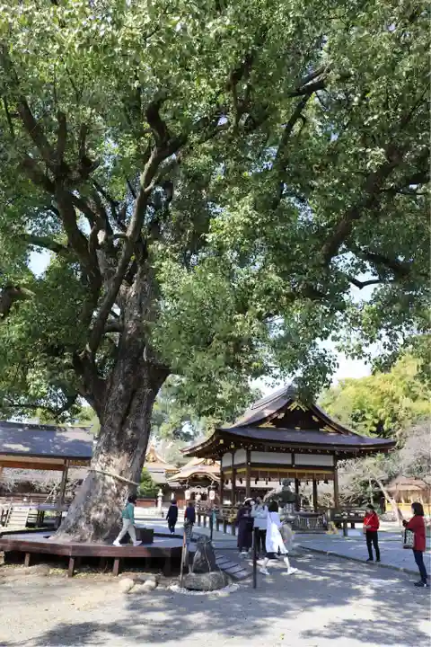 平野神社(京都府)