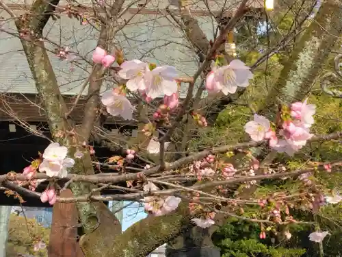 靖國神社(東京都)