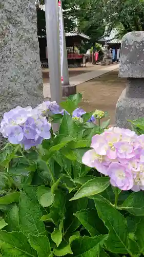 鶴峯八幡宮の庭園