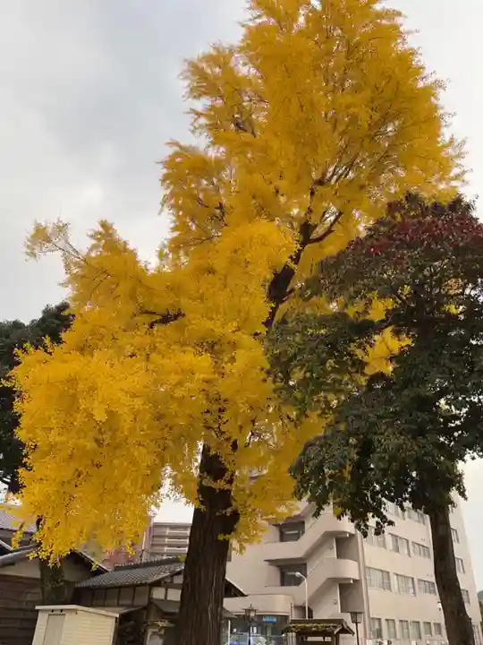 長野神社(大阪府)