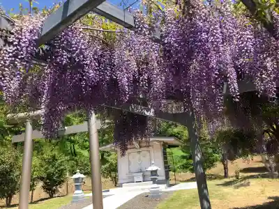 金蛇水神社の{uncategorized: "未分類", other: "その他", undefined: "問題あり", building: "その他建物", grave: "お墓", sacred_gate: "鳥居", guardian: "狛犬", statue: "像", buddha: "仏像", history: "歴史", nature: "自然", garden: "庭園", animal: "動物", pagoda: "塔", temizu: "手水舎", mountain_gate: "山門・神門", sanctuary: "本殿・本堂", subordinate: "末社・摂社", art: "芸術", scenery: "景色", jizo: "地蔵", ema: "絵馬", goshuin: "御朱印", omikuji: "おみくじ", items: "授与品その他", amulet: "お守り", goshuincho: "御朱印帳", eats: "食事", festival: "お祭り", votive_dance: "神楽", shichigosan: "七五三参", wedding: "結婚式", experience: "体験その他", initially: "初詣", around: "周辺", anti_infection: "感染症対策"}