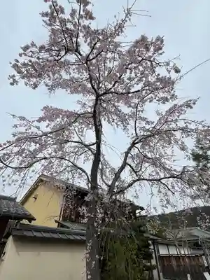 南禅寺(京都府)