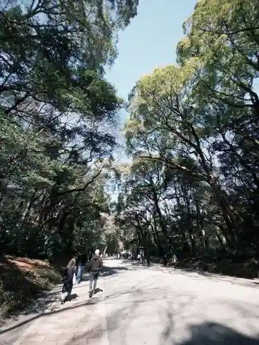 明治神宮(東京都)