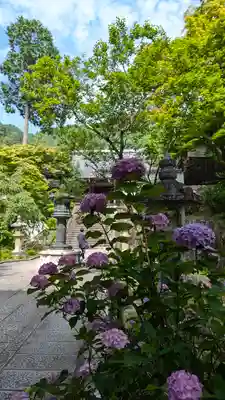 善峯寺(京都府)