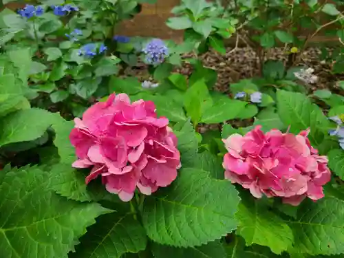 筥崎宮(福岡県)