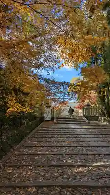 光明寺（粟生光明寺）(京都府)