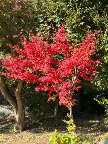 大仁神社(静岡県)