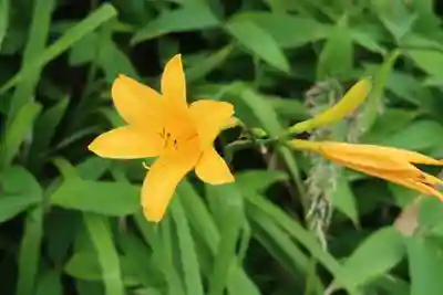 仏法紹隆寺(長野県)