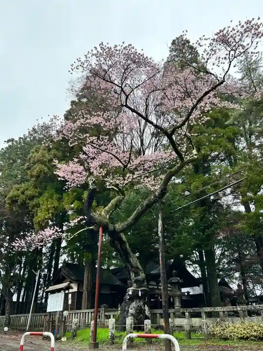 愛宕稲荷神社(長野県)