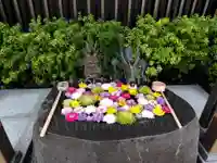 駒込妙義神社(東京都)