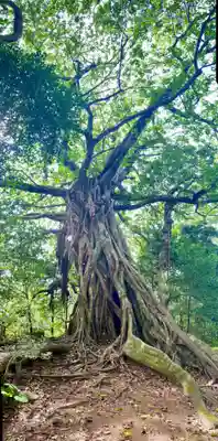 松尾天満宮(高知県)