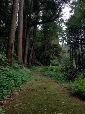 天神社(千葉県)