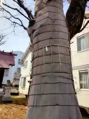 高田馬場天祖神社(東京都)