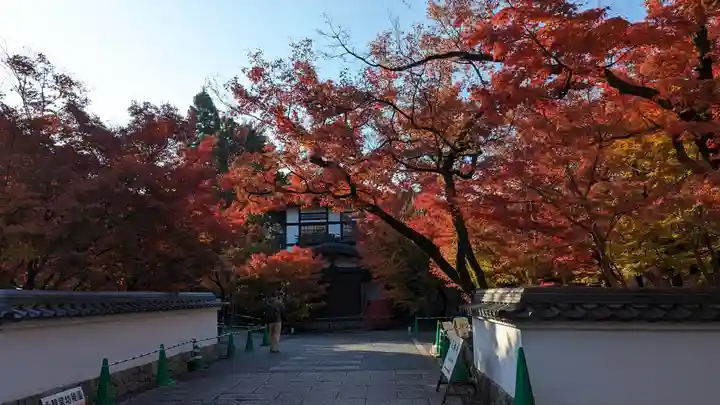 禅林寺(永観堂)(京都府)