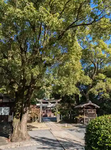 田中神社(京都府)