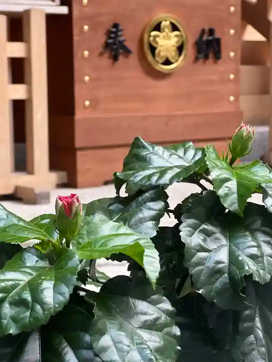 須山浅間神社(静岡県)