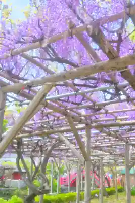 亀戸天神社(東京都)