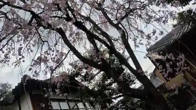 祐正寺(京都府)