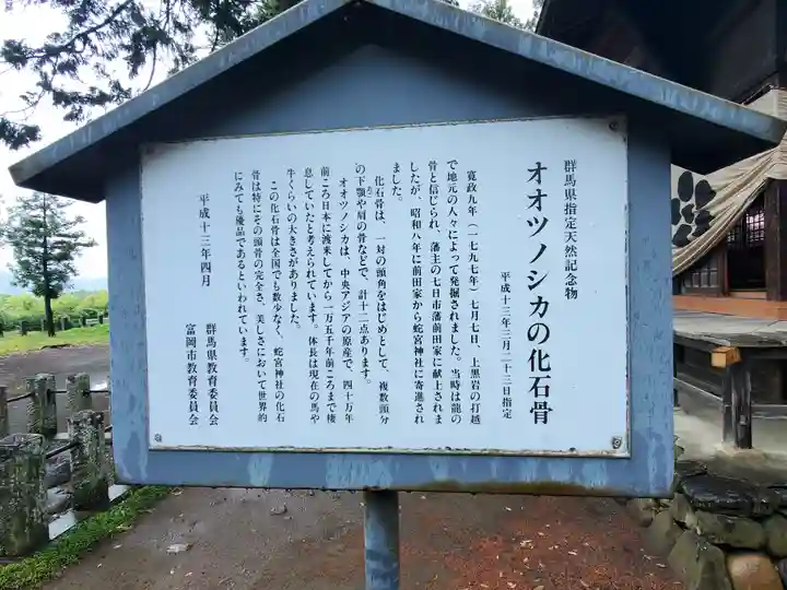 蛇宮神社(群馬県)