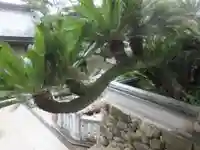 金剛福寺(高知県)