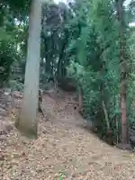 大藏神社(千葉県)