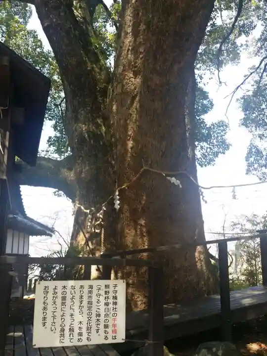 藤白神社の自然