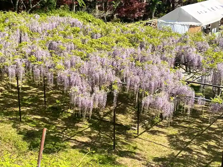 天台宗 五大山 白毫寺(兵庫県)