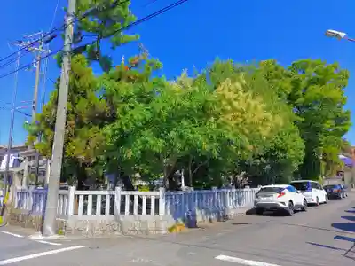 八幡社(廻間八幡社)の自然