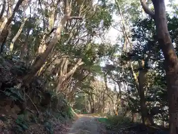 大山阿夫利/龍 神社の鳥居