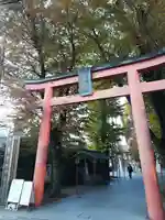赤城神社の鳥居